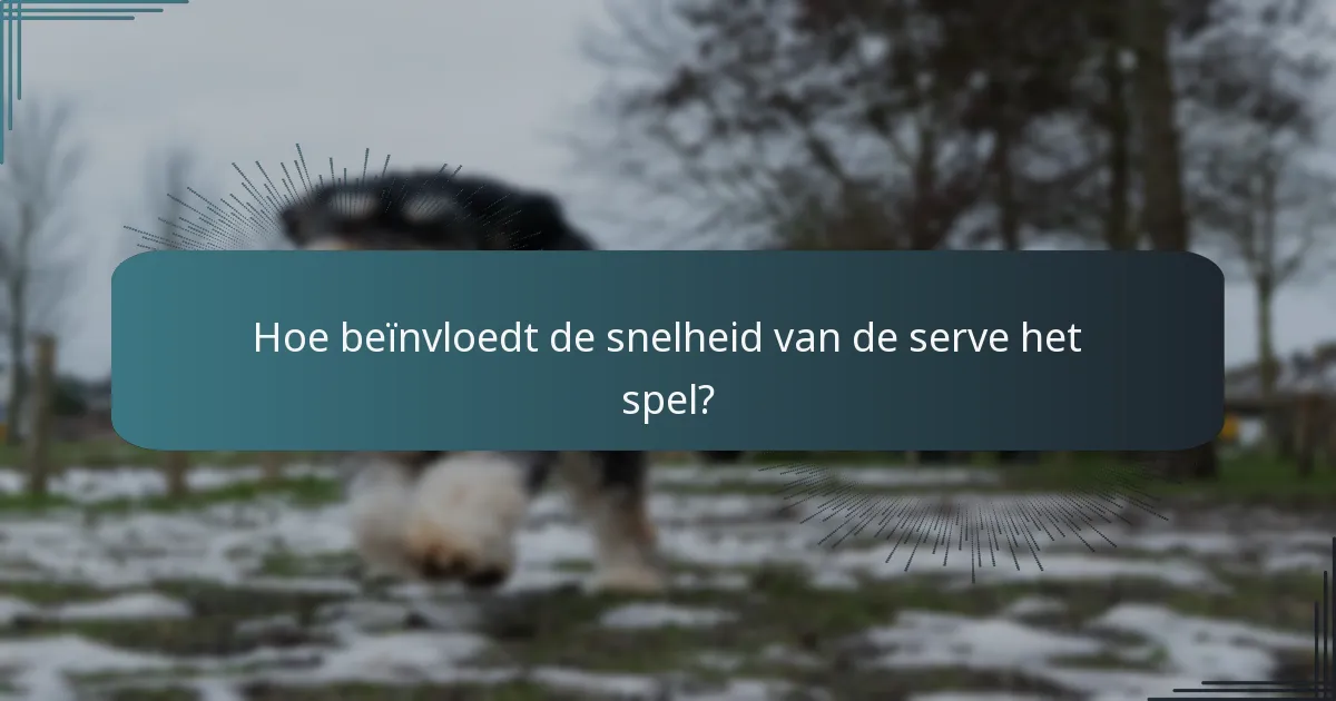 Hoe beïnvloedt de snelheid van de serve het spel?