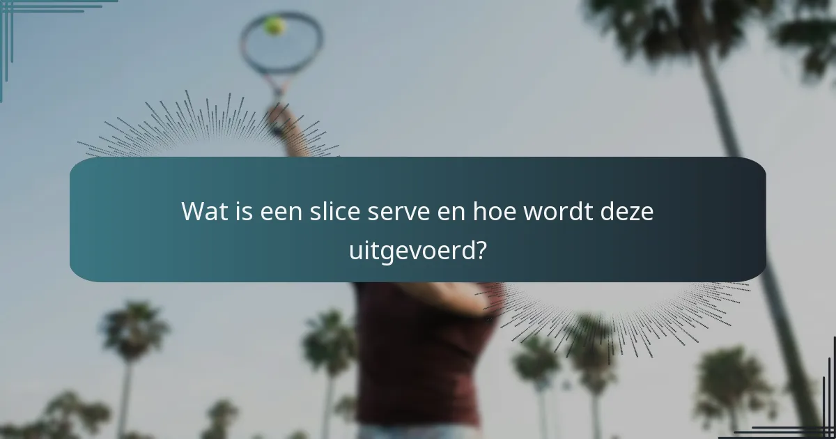 Wat is een spinserve en hoe wordt deze uitgevoerd?