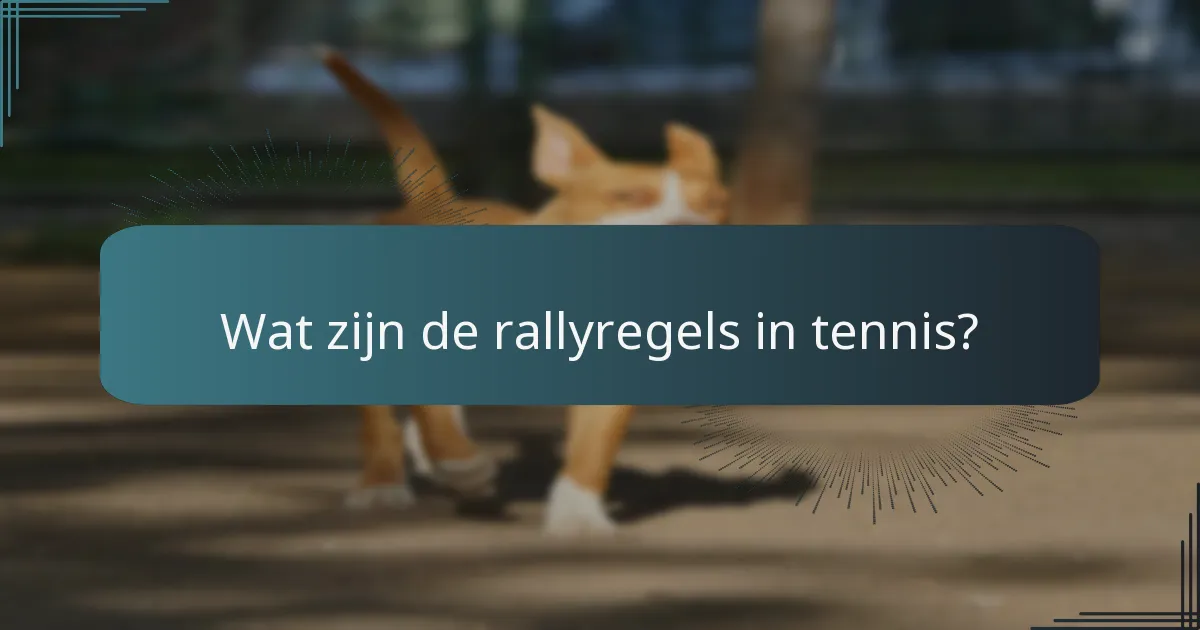 Wat zijn puntendeducties bij tennis serveren?
